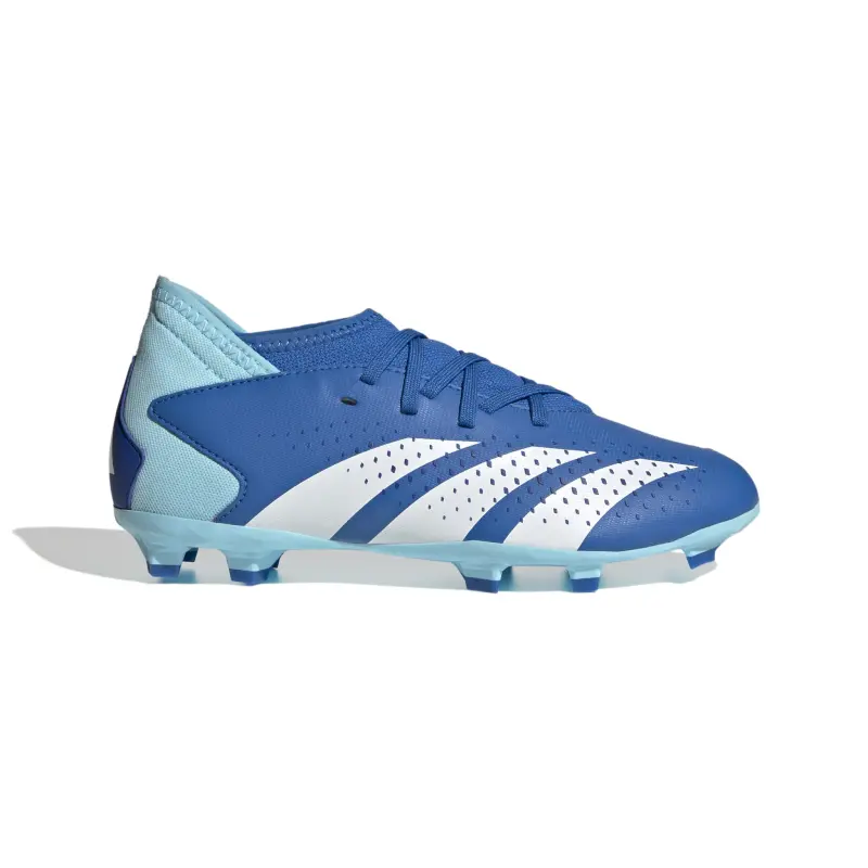 Adidas Predator Accuracy.3 FG Jr (Blue/White) featured item view IE9503 4894