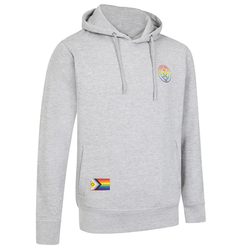 Rainbow Print Hoody Grey pictured from the gallery product perspective